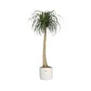 elho b.for Soft Rund 18cm Übertopf - weiss Produktbild-Vorschau 9
