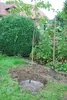 Kerbl Wühlmauskorb 60 cm Hähe 70 cm, Schutzkorb gegen Produktbild-Vorschau 6