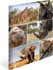 HERMA Eckspannermappe "Afrika Tiere" aus Karton DIN A4 Produktbild-Vorschau 5