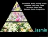 GKA Parfüm Öl Jasmin aus Frankreich Parfümöl Kosmetik Produktbild-Vorschau 2