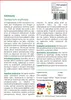 SAFLAX - Centaury - Centaurium erythraea - 250 Semená - S Náhľad obrázku produktu 3