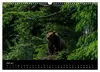 Bayerischer Wald (Wandkalender 2027 DIN A3 quer), CALVENDO Produktbild-Vorschau 15