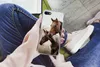 MuchoWow® Handyhülle Schutzhülle Hülle für iPhone SE 2022 Produktbild-Vorschau 3