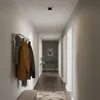 A modern hallway with a ceiling light, coat rack with jackets, and a console table with a plant and lamp. Náhľad obrázku produktu