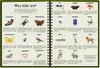 Mein riesengroßes WimmelSuchBuch: Tiere über und unter der Produktbild-Vorschau 5