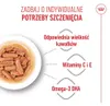 Royal Canin Medium Puppy karma mokra w sosie dla szczeniąt Podgląd zdjęcia produktu 17