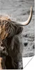 MuchoWow® Poster Schottische Highlander - Kühe - Natur Produktbild-Vorschau 1