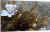 Glasschutzplatte für den Herd 80x52 Orchidea Produktbild-Vorschau 1