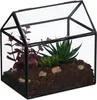 Terrarium végétal Relaxdays, verre et étain, serre Voir les images du produit 1