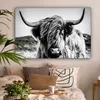 OneMillionCanvasses® - Plátno - Skotský horal - Příroda - Náhled obrázku produktu 2