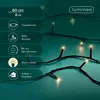 Kaemingk Lumineo LED-Lichterkette Basic mit Dimmer 80 LED Produktbild-Vorschau 9