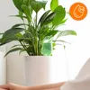 Automatischer Pflanzenbewässerer in Vogel-Form, Produktbild-Vorschau 5