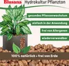 Blusana Blähton 50 Liter grobe Körnung 8-16mm Produktbild-Vorschau 4