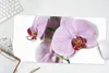 MuchoWow® Mauspad Mousepad Rosa Orchideenblüte 60x30 cm - Produktbild-Vorschau 5