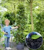 BALDUR Garten 1x Maulbeere BonBon Berry®, Pflanze im 13 Produktbild-Vorschau 1