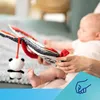 Canpol babies sensorisches Stoffbuch BabiesBoo PANDA 68/088 Produktbild-Vorschau 13