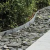 Wovar - Bordure Ecolat 14 cm - Rouleau 20 mètres Voir les images du produit 3