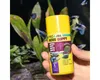 Flockenfutter JBL PRONOVO GUPPY FLAKES Gr. S 100 ml Produktbild-Vorschau 4