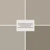 SCHIESSER Topperspannbettlaken Flexi | Einfarbig | 95/5 | Produktbild-Vorschau 7