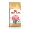 ROYAL CANIN British Shorthair Kitten - trockenfutter für Produktbild-Vorschau 9