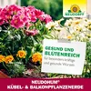 Neudorff NeudoHum Balkon- & KübelpflanzenErde - Torffreie Produktbild-Vorschau 7