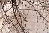 Carta da parati in tessuto non tessuto astratta 400x280 cm Anteprima dell’immagine prodotto 3