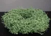 Kranz in Pastell hellgrün aus Asparagus Türkranz Wandkranz  Produktbild-Vorschau 6