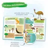 Trötsch Kinderatlas Das große Entdeckerbuch Atlas der Welt Produktbild-Vorschau 4