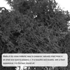 3 Stš¹ck 1,26 Unzen Moos F?lschung Kunstmoos Kš¹nstliches Produktbild-Vorschau 3