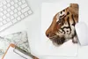 MuchoWow® Mauspad Mousepad Nahaufnahme eines Tigers 18x27 Produktbild-Vorschau 5