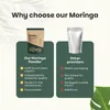 Moringa Oleifera Pulver als Nahrungsergänzungsmittel, 100 % Produktbild-Vorschau 7