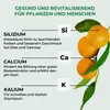 Allflor pierwotna mączka skalna 10 kg - dla lepszych plonów Podgląd zdjęcia produktu 6