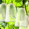 50 Stück Obst Schutzbeutel mit Kordelzug, Insekten Produktbild-Vorschau 3