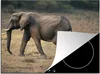 KitchenYeah© Herdabdeckplatte Elefant - Tiere - Savanne - Produktbild-Vorschau 1