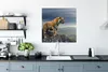 MuchoWow® Poster Tiger - Berg - Natur - Landschaft 75x75 cm Produktbild-Vorschau 3
