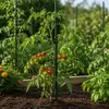 Aga Tuteur pour plantes 150 cm 10 pièces Voir les images du produit 3