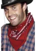 Cowboy Bandana rot - Western Fasching Karneval Kostüm Produktbild-Vorschau 3