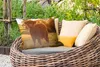 MuchoWow® Outdoor Kissen - Schottisches Hochlandrind - Gras Produktbild-Vorschau 3
