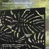 ML-Design Kovová zástěna Roma 120x180 cm z oceli Paraván s Náhled obrázku produktu 5