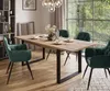 Möbelset ART - T-Klapptisch 150-198 und 4 Stühle, Wotan Produktbild-Vorschau 1