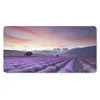 MuchoWow® Mauspad Mousepad Sonnenuntergang über Lavendel Produktbild-Vorschau 1