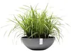 Výsadbový květináč Ecopots Vienna plastový Ø 50 cm V 18 cm Náhled obrázku produktu 1