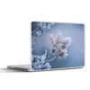 MuchoWow® Laptop Aufkleber Sticker Cover Kiefernnadeln - Produktbild-Vorschau 1