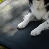 belviona, cuccia rialzata per cani, resistente alle Anteprima dell’immagine prodotto 2