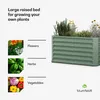 BlumfeldtHigh Grow Straight, podniesiona grządka, 120 x 60 Podgląd zdjęcia produktu 4