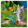 Süße Samtpfötchen Ravensburger 08046 Produktbild-Vorschau 5
