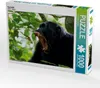 CALVENDO Puzzle Vorsicht! | 1000 Teile Lege-Größe 64x48cm Produktbild-Vorschau 1