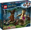 LEGO 75967 Harry Potter Zakázaný les: Stretnutie s Náhľad obrázku produktu 1