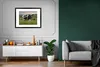 MuchoWow® MuchoWow® Gerahmtes Poster Kühe - Tags - Gras Produktbild-Vorschau 7