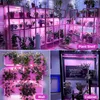 A collage of images showing different ways to use plant grow lights, including on shelves, mounted on a wall, and inside a cabinet. Produktbild-Vorschau